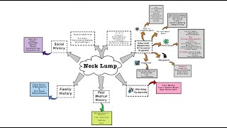 Neck Lump  OSCE [upl. by Kenwood]