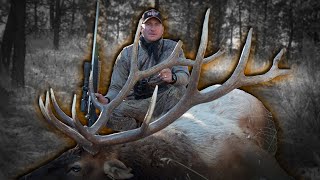 Postrut elk hunting with Guy Eastman Eastmans Hunting TV [upl. by Lavro]