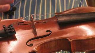 Violin Basics  How Does a Violin Produce Sound [upl. by Ronica671]