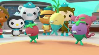 Octonauts Creature Report Compilation  Series 1 [upl. by Aninay]