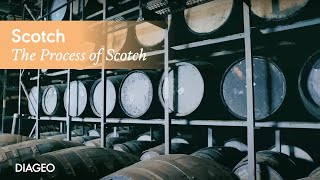 The process behind Scotch Whisky  Diageo [upl. by Harle436]