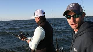 How To Troll for Fall Chesapeake Bay Rockfish and Bluefish [upl. by Derr]