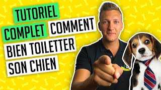 Toilettage chien  les conseils et solutions dun toiletteur [upl. by Adnorehs727]