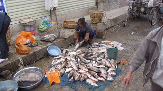 Regional market at a Chinese village near Dali Yunnan province [upl. by Packston]