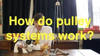 Pulley Systems Explained  FJs Physics [upl. by Saxon]