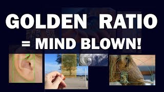 Golden Ratio  Mind Blown [upl. by Wootan]