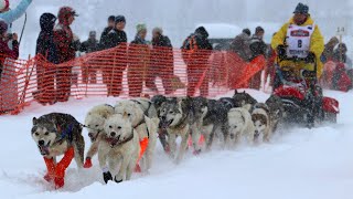 2020 Iditarod Official Start  Willow Alaska [upl. by Bobseine]