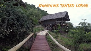 Sangaiwe Tented Lodge  Tarangire [upl. by Springer]