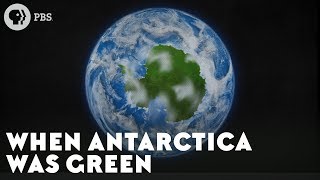 When Antarctica Was Green [upl. by Zenobia]