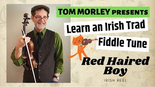 Learn an Irish Trad Fiddle Tune  Red Haired Boy [upl. by Peggir]