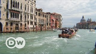 Venetian Lagoon islands Burano and Murano  DW English [upl. by Sorazal]