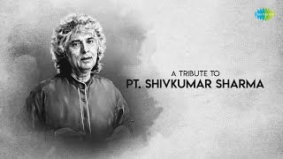 A Tribute To PT Shivkumar Sharma  A Collection of his Best Instrumental  Classical Music [upl. by Kcirddahc]