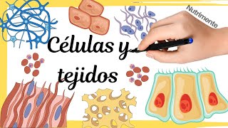 CÉLULAS y TEJIDOS [upl. by Bevvy]