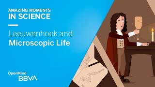 Leeuwenhoek and Microscopic Life  AMS OpenMind [upl. by Nylatsyrk]