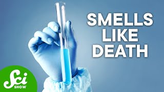 The 5 Most Dangerous Chemicals on Earth [upl. by Nathalia]