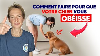 Comment Faire Pour Que Votre Chien Vous Obéisse [upl. by Narok]