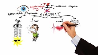 Pharmacology  ANTICHOLINERGIC amp NEUROMUSCULAR BLOCKING AGENTS MADE EASY [upl. by Hayes]