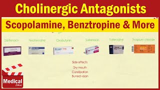 Pharmacology ANS 8 Cholinergic Antagonists Part 1 Atropine  Scopolamine  Benztropine etc [upl. by Bendick]