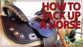 How to Saddle a Horse Western Style  Jeffers Equine [upl. by Riess99]