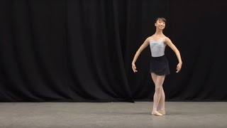 Insight Ballet Glossary  Petit allegro [upl. by Meyer]