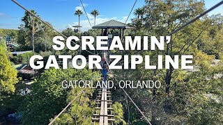 Screamin Gator Zipline  Gatorland Orlando [upl. by Lisa]