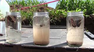 Soil Aggregation and Water Infiltration [upl. by Heidt]