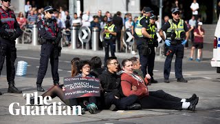 Vegan protesters raid farms and stage blockades around Australia [upl. by Gerson]