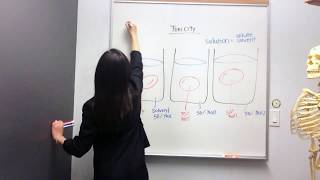 Tonicity Hypertonic Hypotonic and Isotonic Solutions [upl. by Dove687]