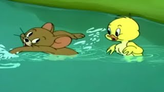 Tom and Jerry  Just Ducky 1953 [upl. by Secnarfyram]