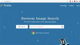 Using reverse image search engine Tineye [upl. by Gleason840]