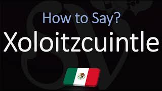 How to Pronounce Xoloitzcuintle CORRECTLY Mexican Hairless Dog Breed Name Pronunciation [upl. by Loretta]