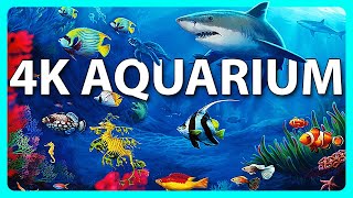 The Best 4K Aquarium for Relaxation 🐠 Relaxing Oceanscapes  Sleep Meditation 4K UHD Screensaver [upl. by Eelano]