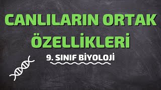 9Sınıf Biyoloji  Canlıların Ortak Özellikleri [upl. by Clive763]