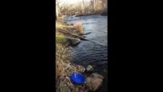 Gold Panning In Michigan Where to Get Gold Nuggets [upl. by Haney]