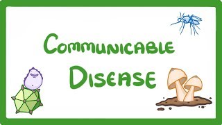 GCSE Biology  Communicable Disease 34 [upl. by Latta757]