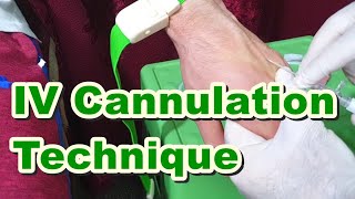 How to Insert IV Cannula  IV Cannulation Technique  Branula  Intravenous Catheter [upl. by Hoagland]