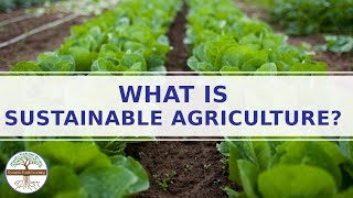 Sustainable Farming Explainer Video Sustainable Agriculture [upl. by Aelram935]