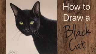 Cat Drawing Tutorial With Colored Pencils  By Artist Andrea Kirk  The Art Chik [upl. by Malachy892]