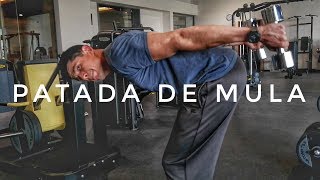 Tutorial Patada de Mula con Mancuernas Rutina Triceps [upl. by Trebreh]