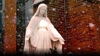 Immaculate Mary w lyrics  Catholic Hymn [upl. by Novyart]