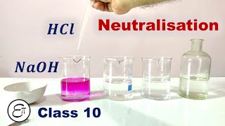 Neutralisation Reaction [upl. by Roderigo]