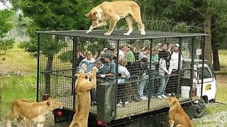 10 MOST STUNNING ZOOS IN THE WORLD [upl. by Eicnahc532]