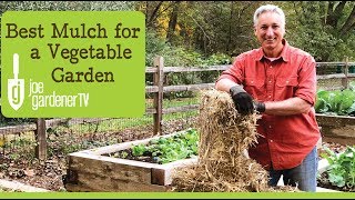 Best Mulch for a Vegetable Garden [upl. by Sharon]