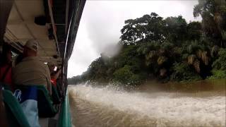 Tortuguero National Park [upl. by Monahon834]