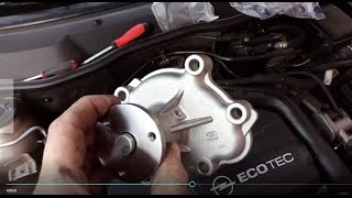 How to replace the water pump at home 17 cdti [upl. by Dnamra]