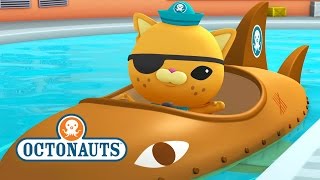 Octonauts  Gup B [upl. by Halsted]