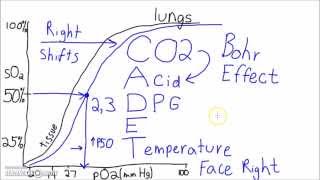 Physiology  The Oxygen–Hemoglobin Dissociation Curve [upl. by Nettle259]