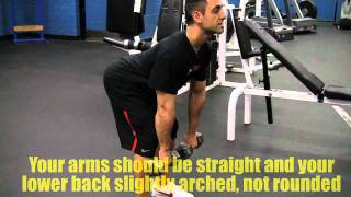 Dumbbell Stiff Legged Deadlift [upl. by Kral656]