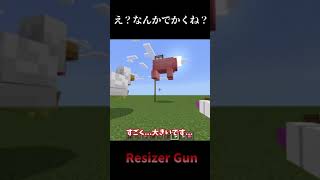 【マイクラ】リサイザーガンって知ってる？short [upl. by Kevon]