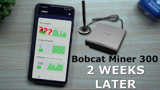 Bobcat Miner 300 HNT  Results After 2 Weeks  Helium Hotspot Miner [upl. by Fin257]